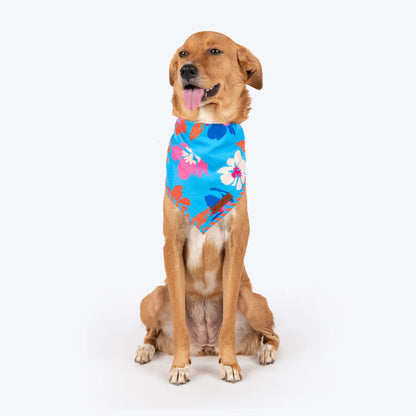 HUFT Summer Bloom Knot Bandana For Dog - Blue