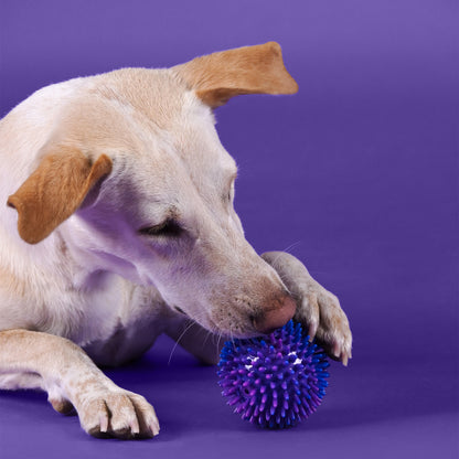 Dash Dog Spiky Ball Toy For Dog - Blue