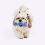 Dash Dog Gnaw & Go Squeaky Toy For Dog - Purple & Blue