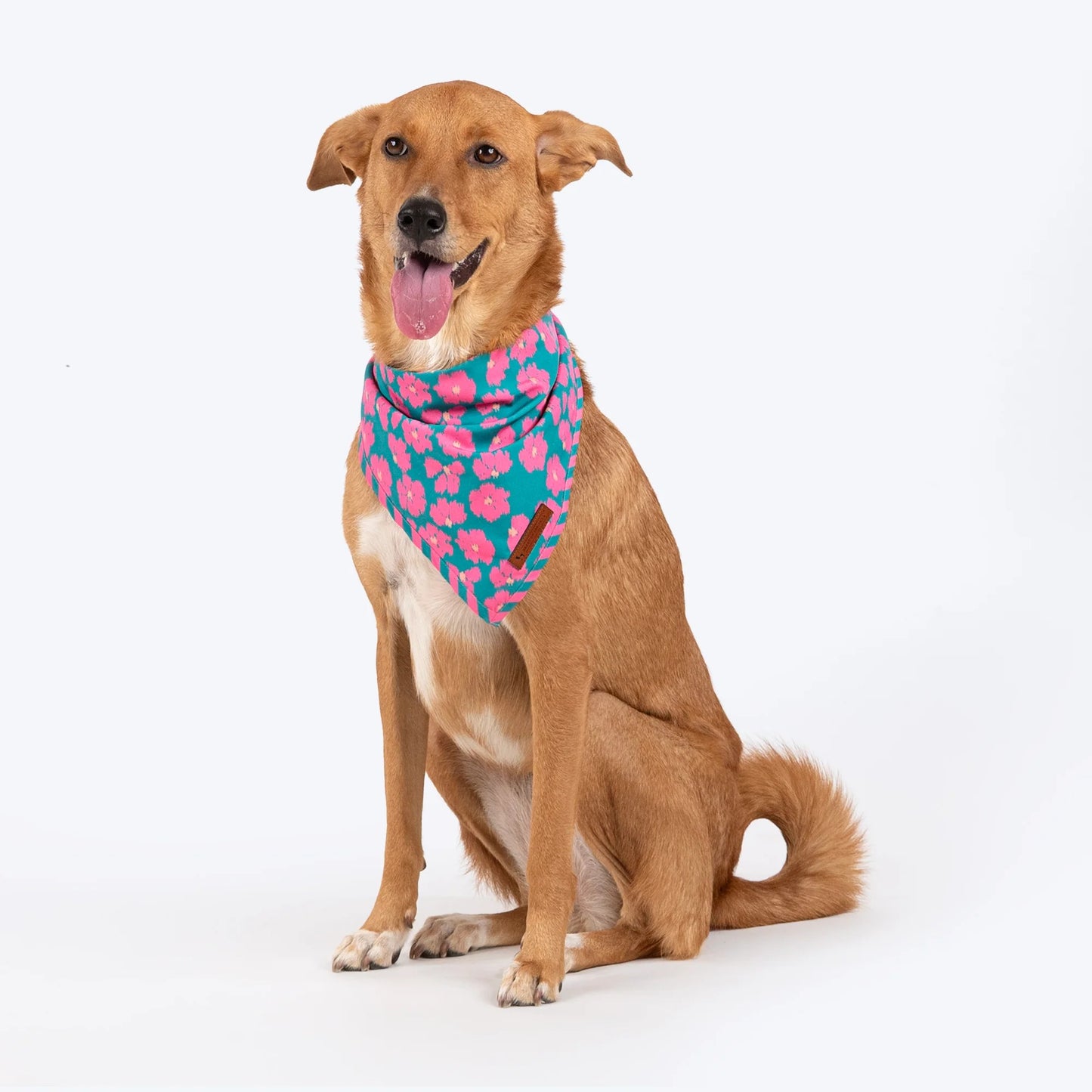 HUFT Pawsome Blossom Knot Bandana For Dog - Green & Pink