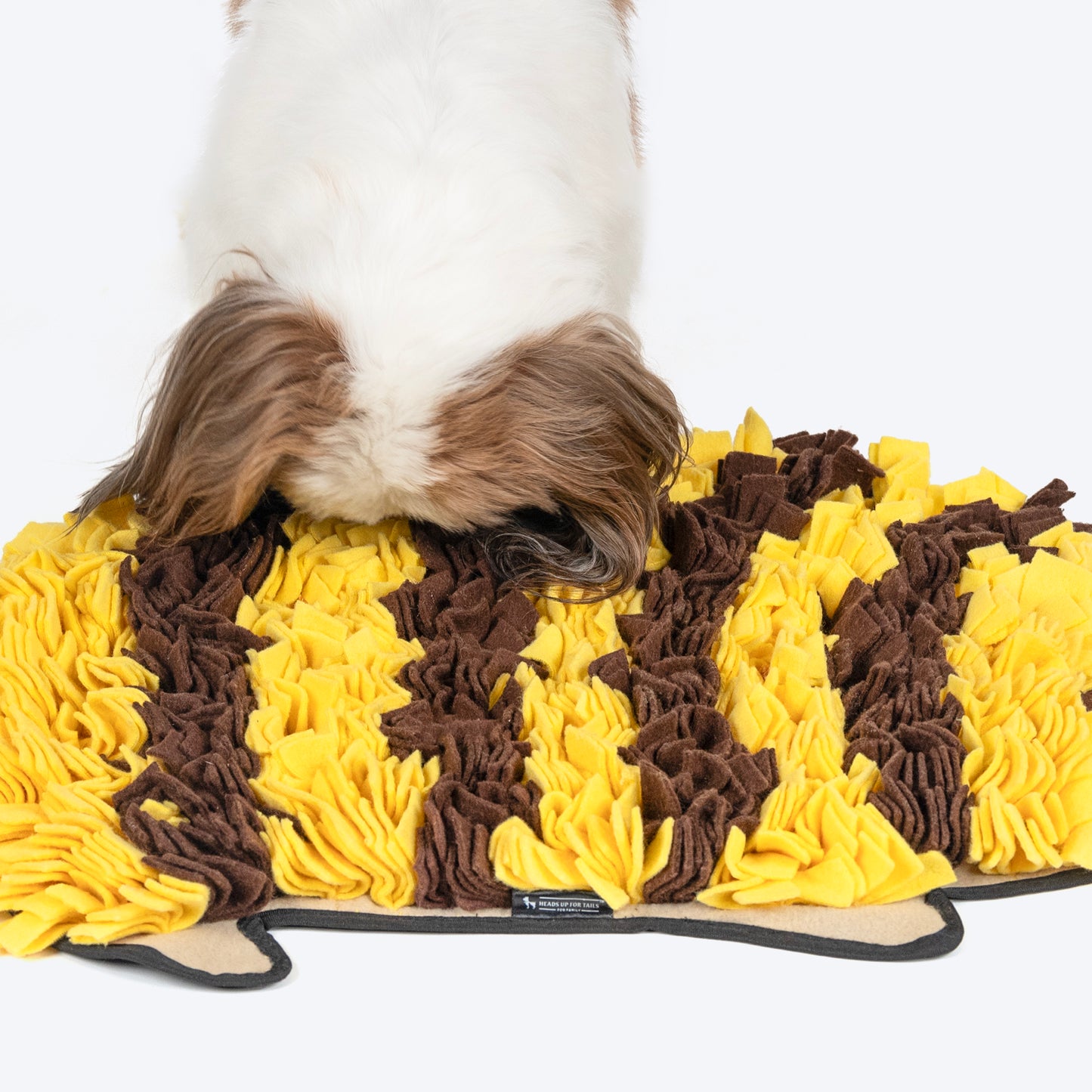 HUFT Hedgehog Snuffle Mat For Dog - Black & Yellow