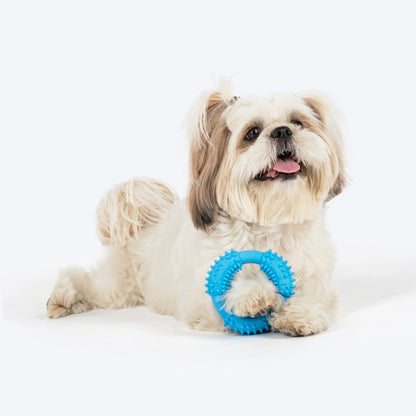 Dash Dog Softy Ring Toy For Dog