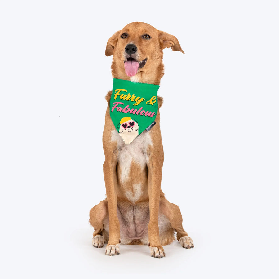 HUFT Furry & Fabulous Bandana For Dog - Green