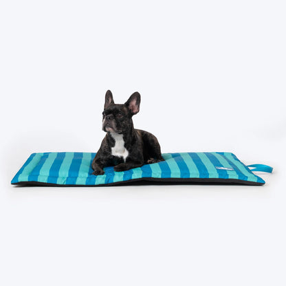 HUFT Happy Stripes Mat For Dog - Blue & Turquoise