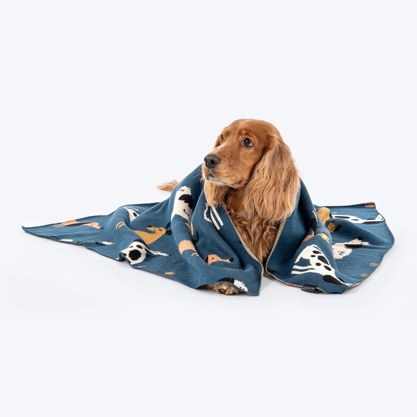 HUFT Bark & Bloom Blanket For Dog - Blue