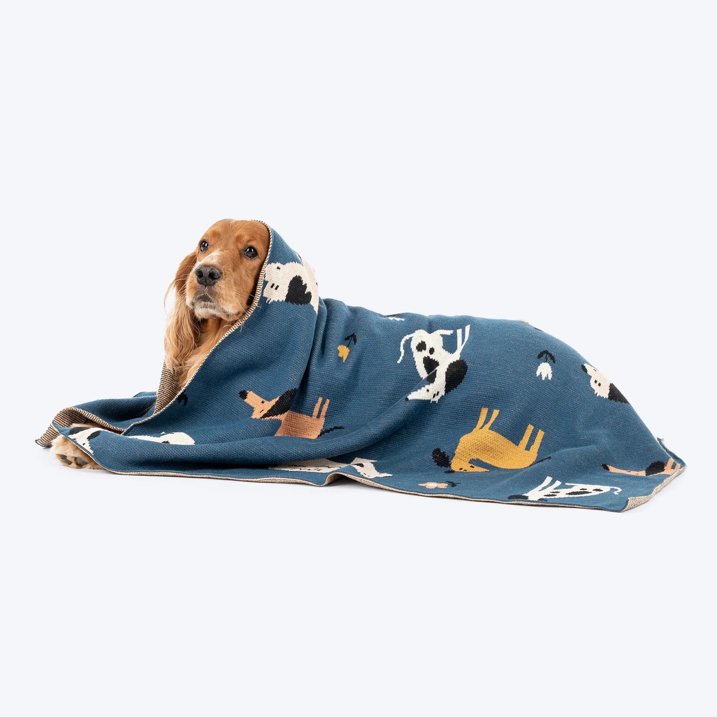 HUFT Bark & Bloom Blanket For Dog - Blue