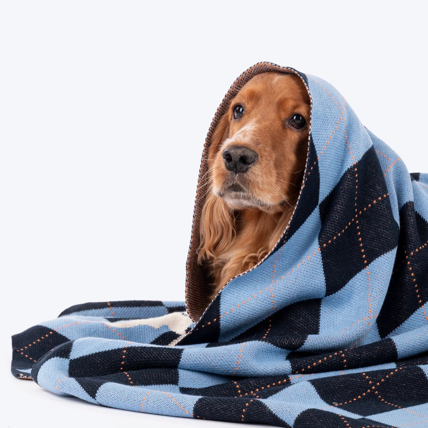 HUFT Cuddle Checks Blanket For Dog & Cat - Blue