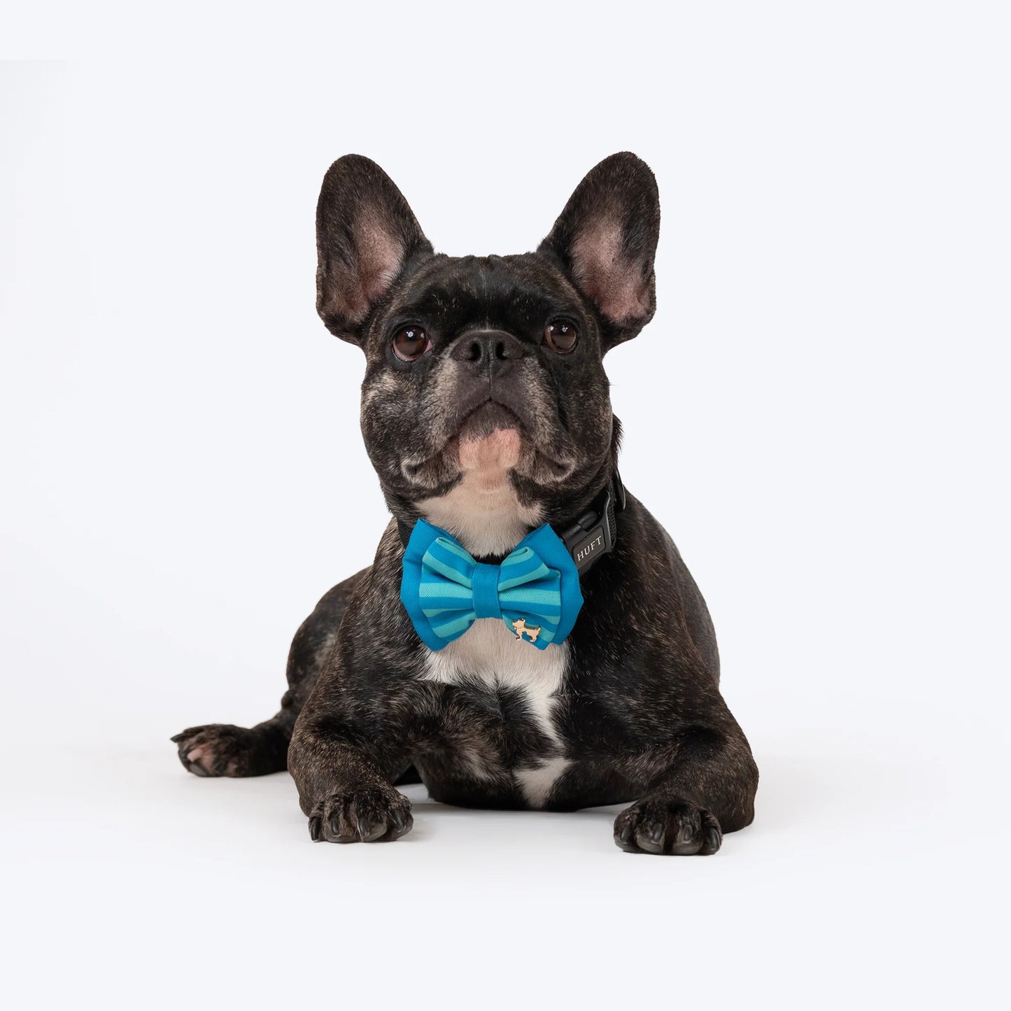 HUFT Happy Stripes Bow Tie For Dog - Blue & Turquoise