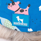 HUFT Doodle Days Printed T-Shirt For Small Dog - Blue
