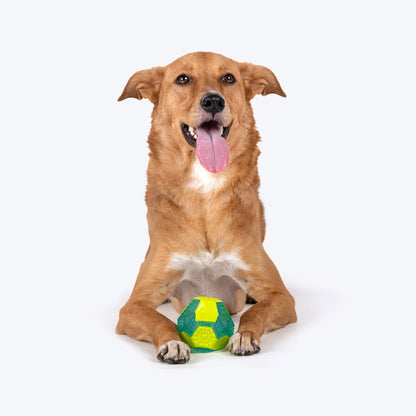 Dash Dog Grip & Go Squeaky Ball For Dog - Neon Green & Blue