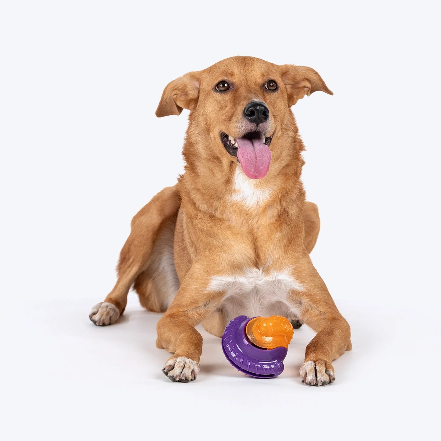 Dash Dog Chomping Champ Ball Toy For Dog