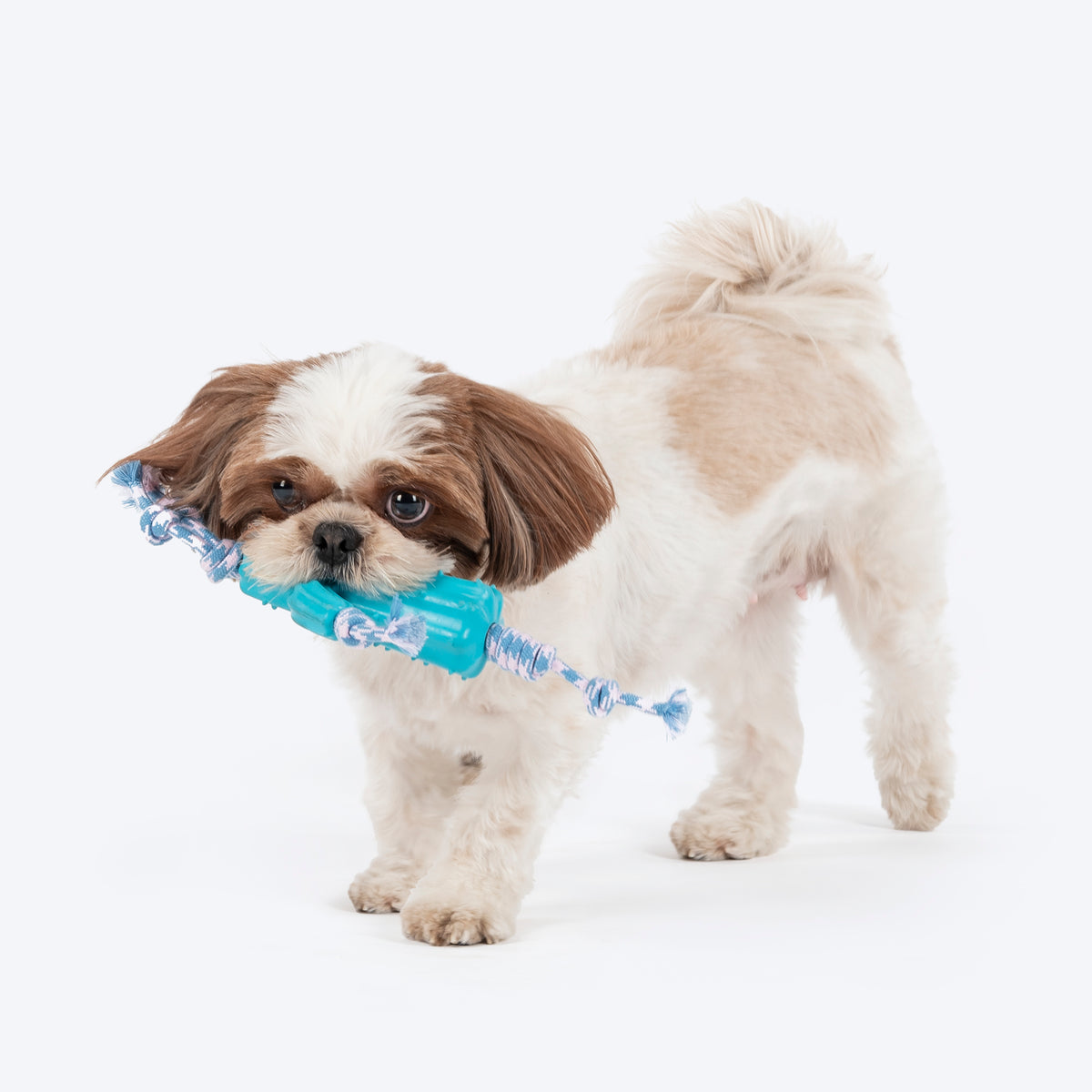Dash Dog Texas Twist Rope Toy For Dog