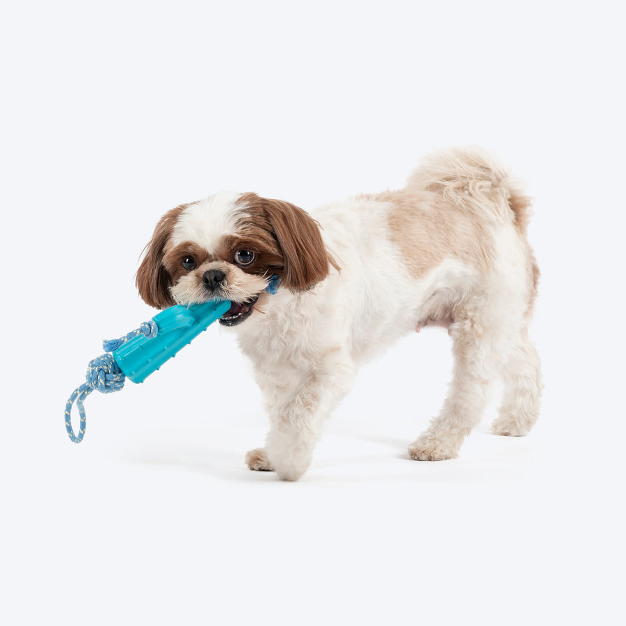 Dash Dog Texas Tug Rope Toy For Dog