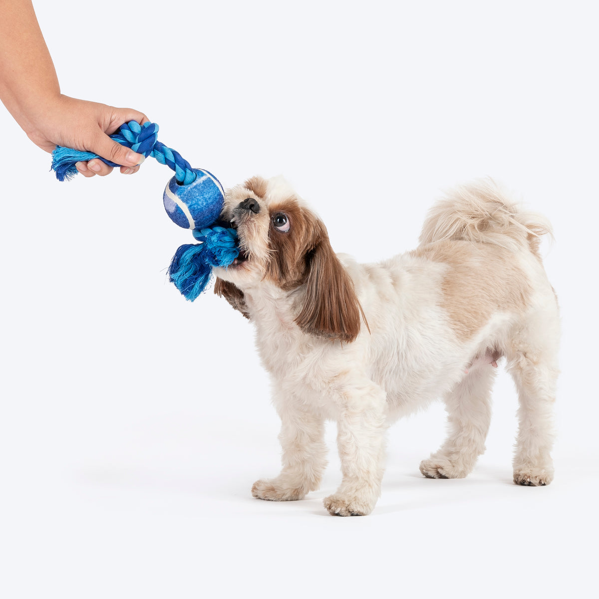 Dash Dog Toss & Tug Rope Toy For Dog