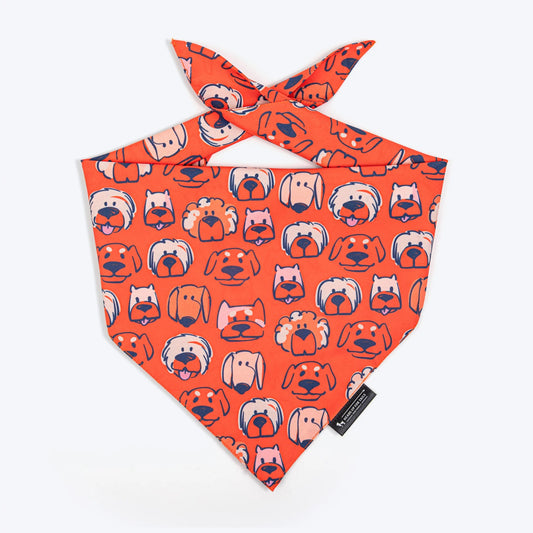 HUFT Pupper Parade Knot Bandana For Dog - Orange
