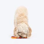Dash Dog Loopster Rope Toy For Dog - Pink & Orange