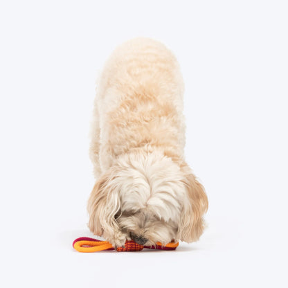 Dash Dog Loopster Rope Toy For Dog - Pink & Orange