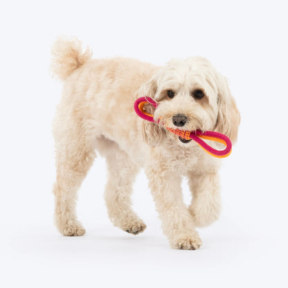 Dash Dog Loopster Rope Toy For Dog - Pink & Orange
