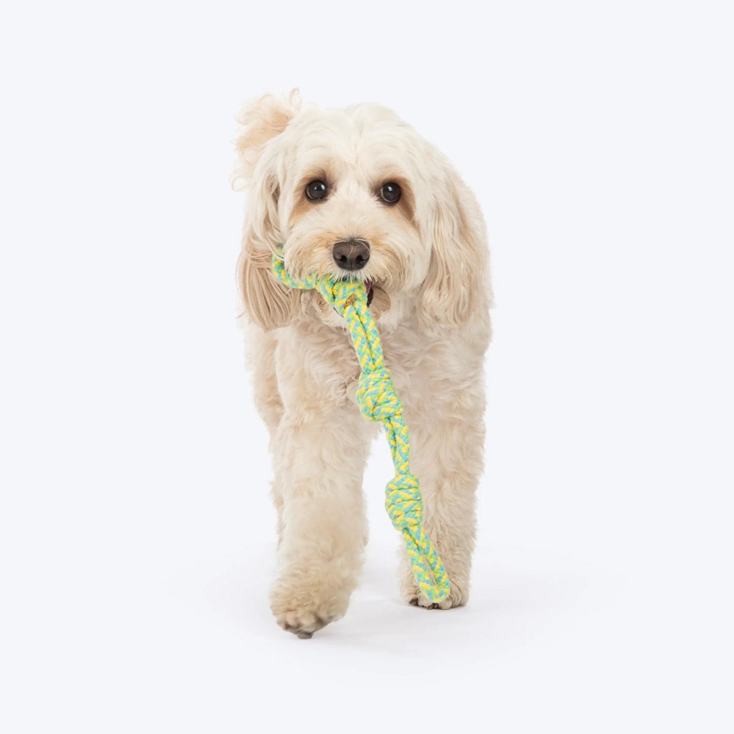 Dash Dog Tuff Tugger Rope Toy For Dog - Multicolor