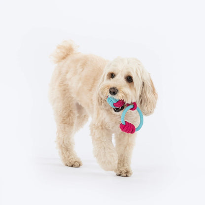 Dash Dog Tugger Ball Rope Toy For Dog - Light Blue & Pink