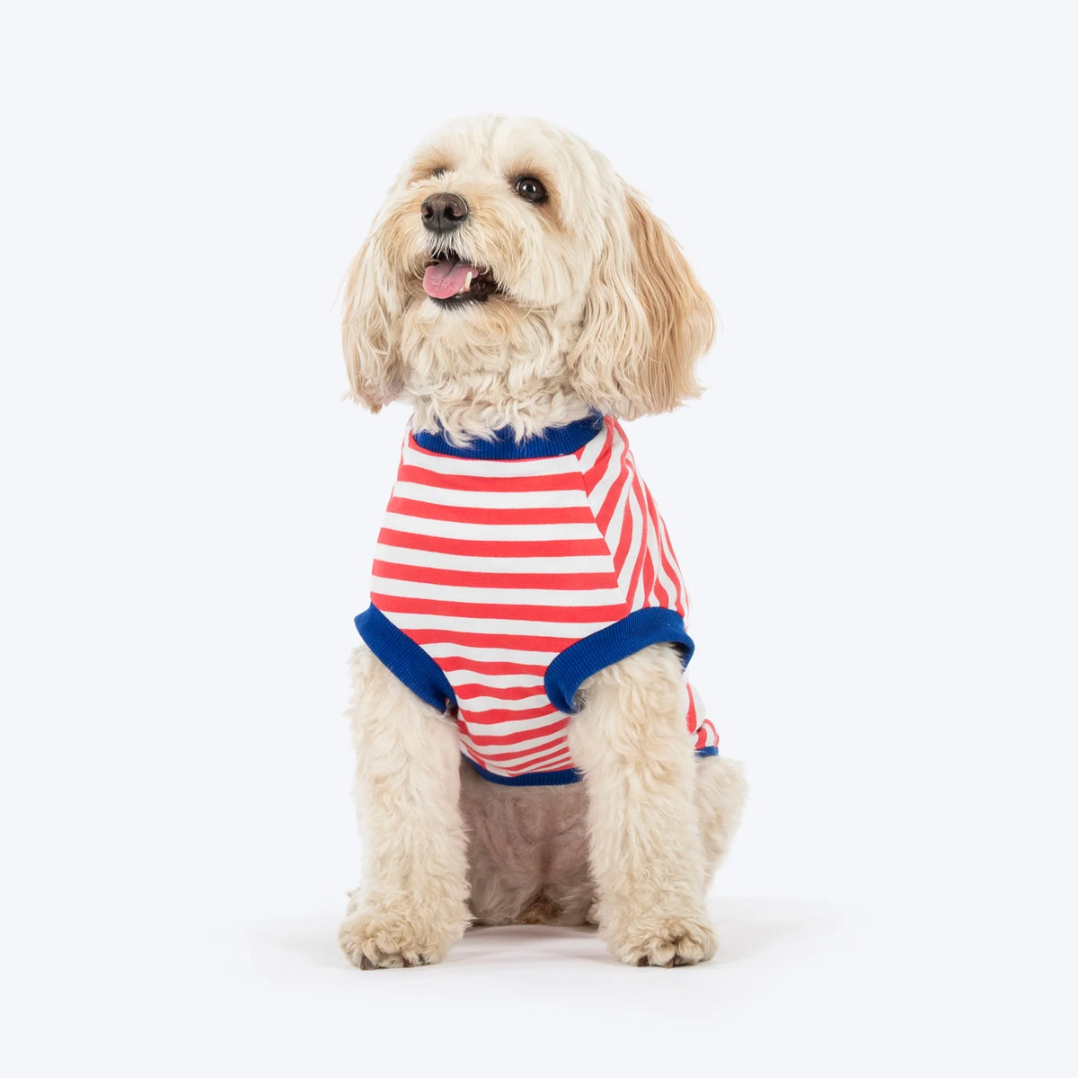 HUFT Pawfect Striped T-Shirt For Dog - Red & White