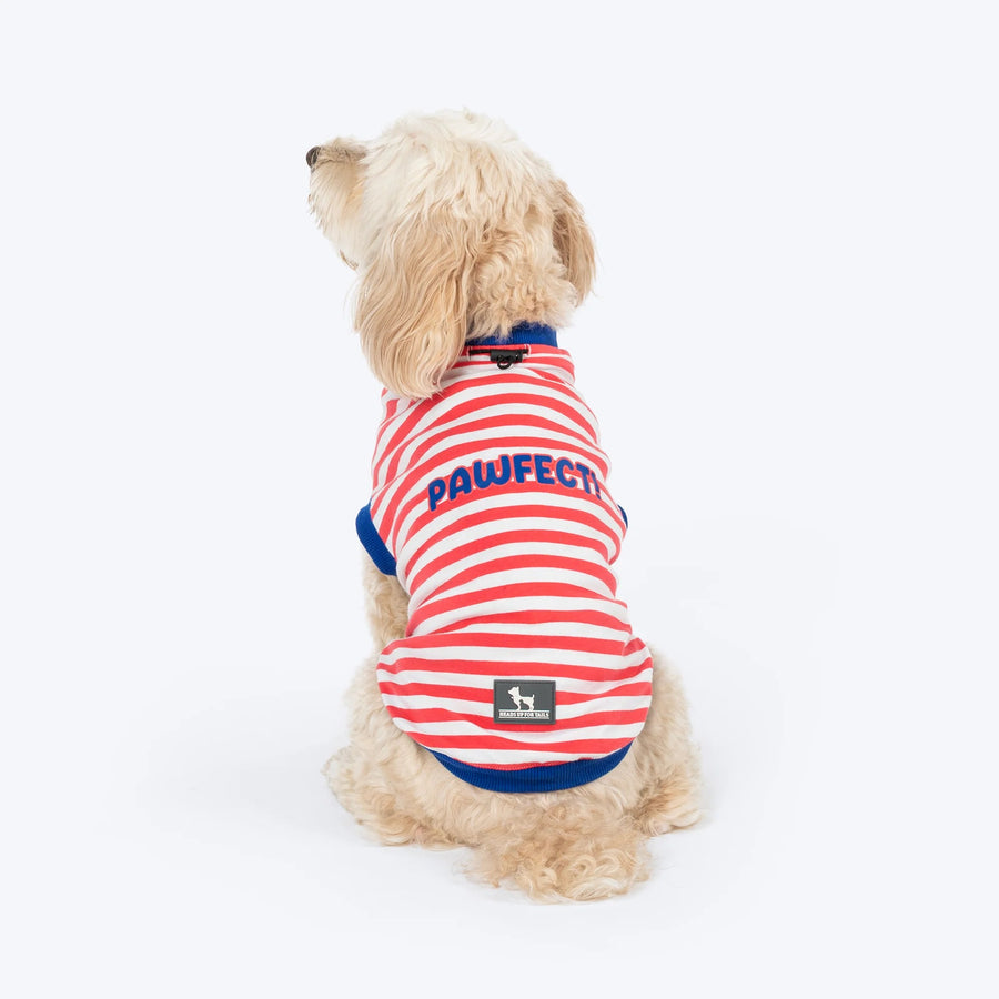 HUFT Pawfect Striped T-Shirt For Dog - Red & White