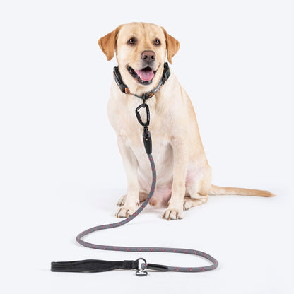 HUFT Xplorers Rope Leash With Carabiner For Dog - Grey - 5 ft