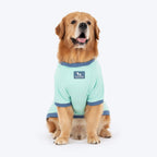 HUFT Jungle Joy Printed T-Shirt For Dog - Light Mint Green