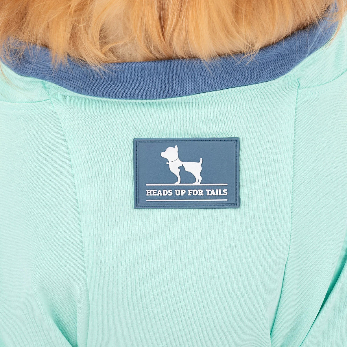 HUFT Jungle Joy Printed T-Shirt For Dog - Light Mint Green