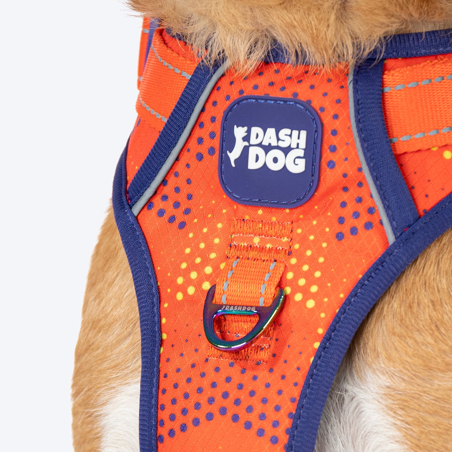 Dash Dog Super Stride Walk Along Harness For Dog - Orange