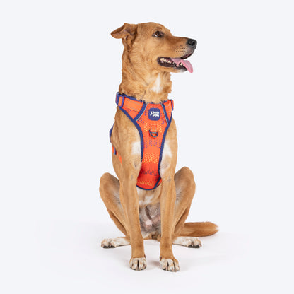 Dash Dog Super Stride Walk Along Harness For Dog - Orange