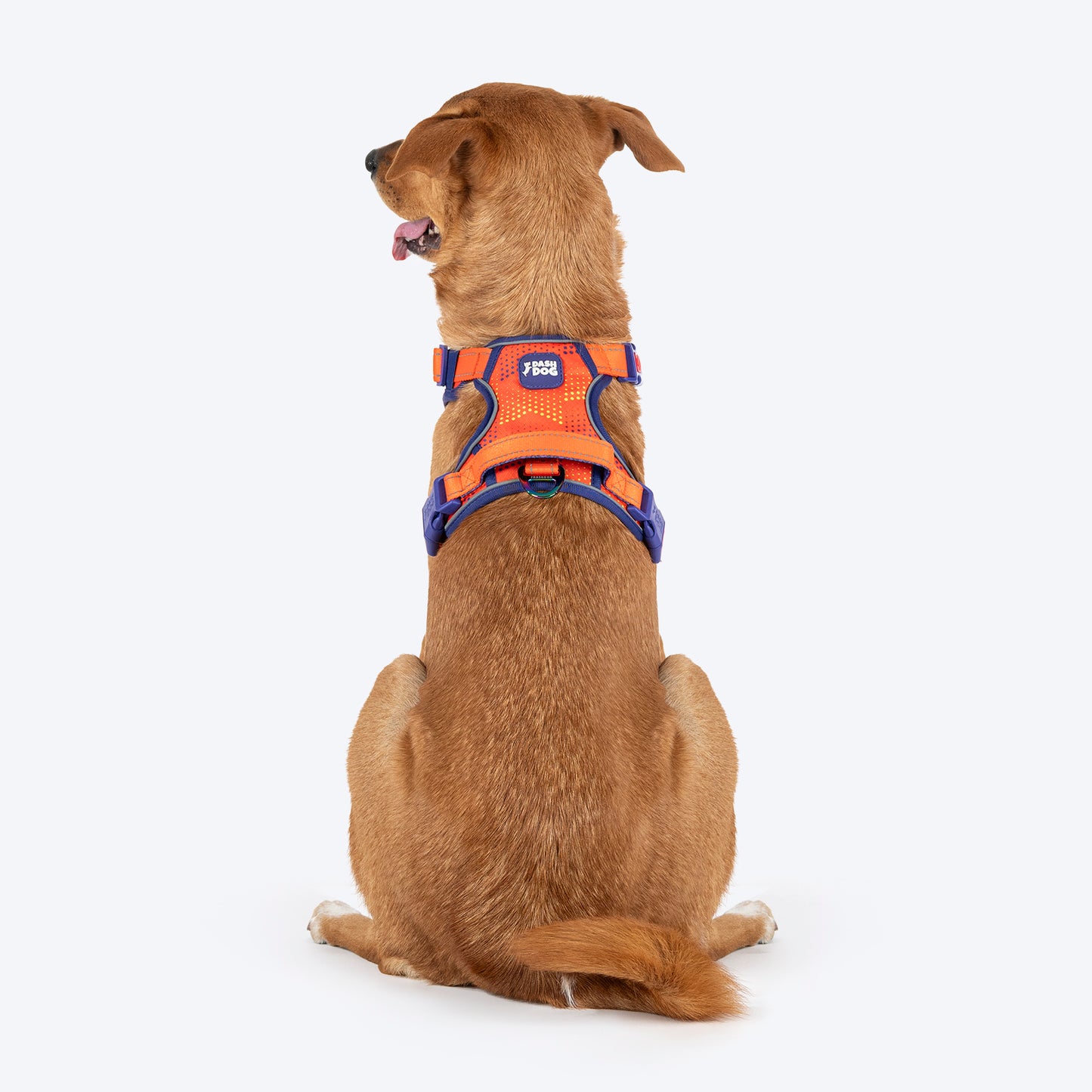 Dash Dog Super Stride Walk Along Harness For Dog - Orange