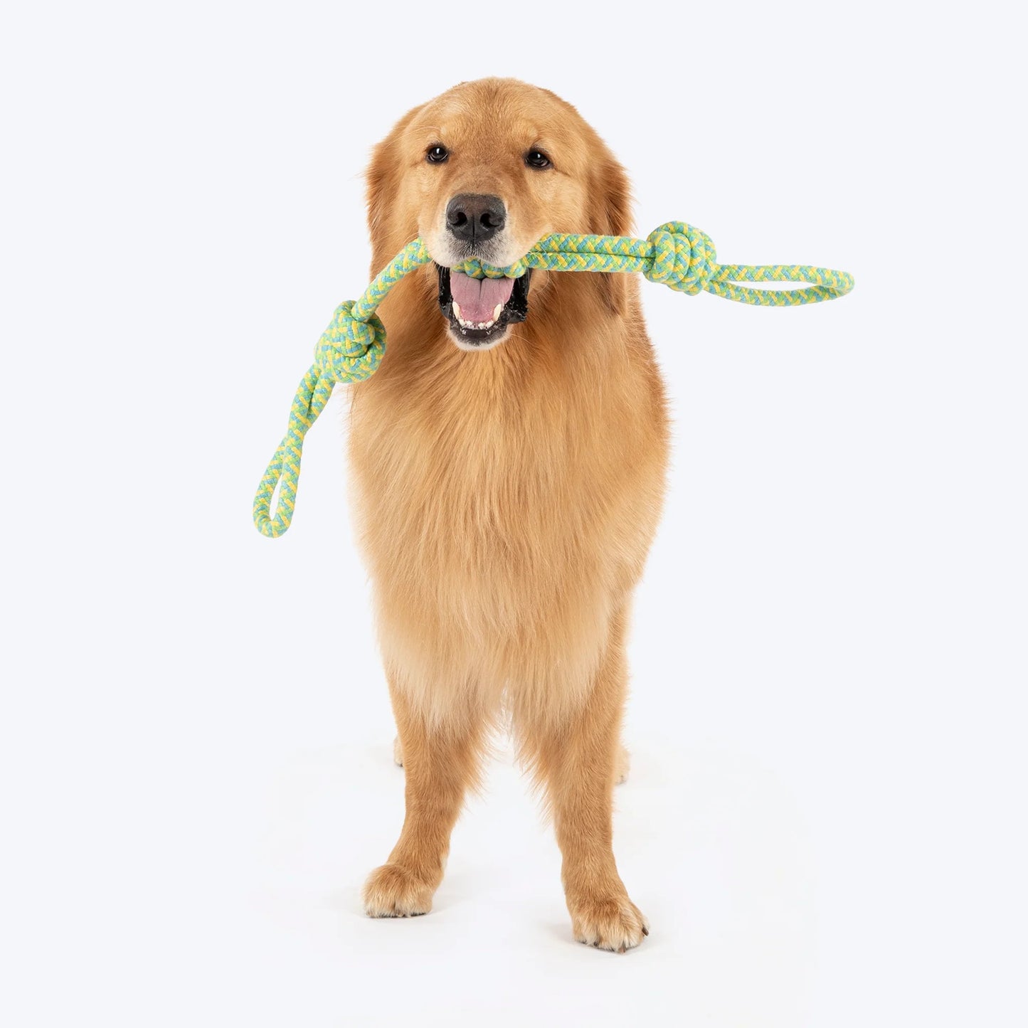 Dash Dog Tuff Tugger Rope Toy For Dog - Multicolor