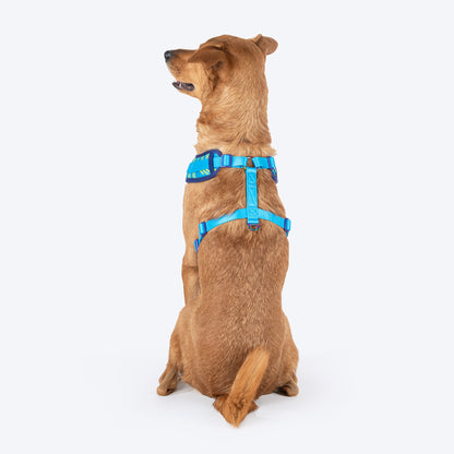 Dash Dog Vector Easy Walk Harness For Dog - Aqua Blue