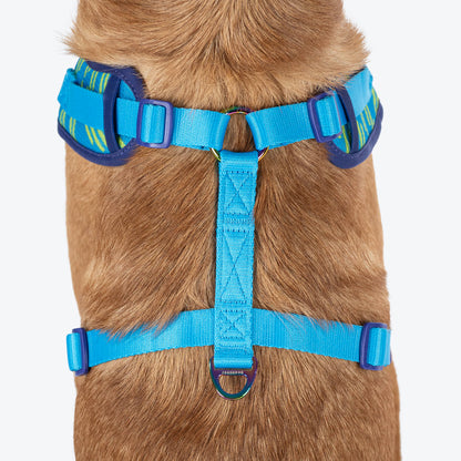 Dash Dog Vector Easy Walk Harness For Dog - Aqua Blue