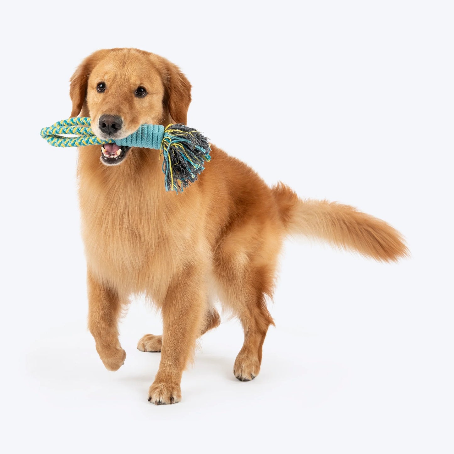 Dash Dog Toss 'n Twirl Rope Toy For Dog - Blue & Yellow