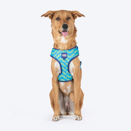 Dash Dog Vector Easy Walk Harness For Dog - Aqua Blue