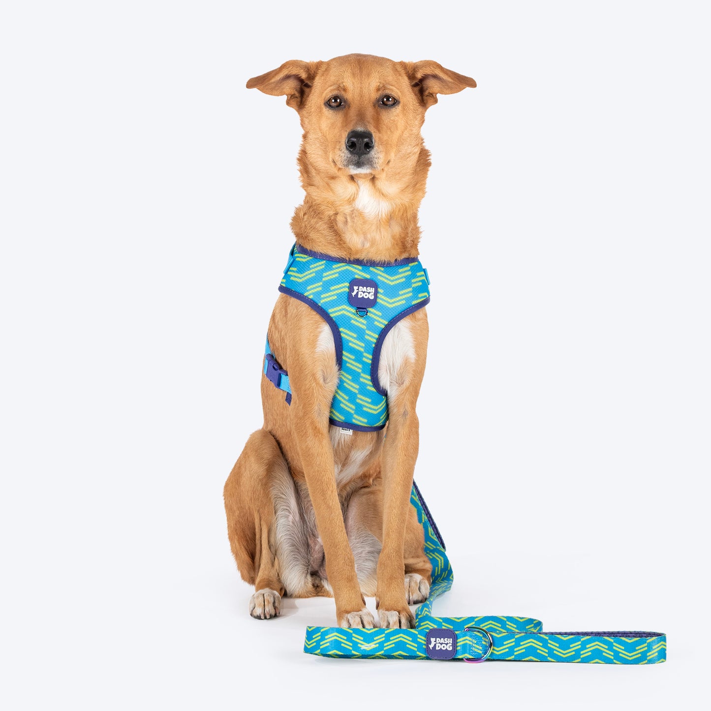 Dash Dog Vector Dual Handle Leash For Dog - Aqua Blue