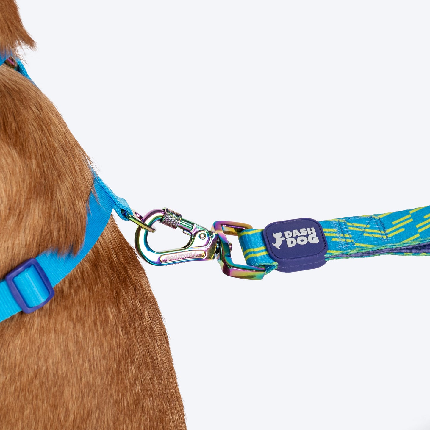 Dash Dog Vector Dual Handle Leash For Dog - Aqua Blue