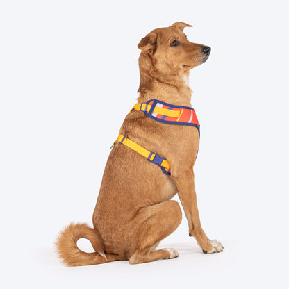 Dash Dog Radiant Blaze Easy Walk Harness For Dog - Orange