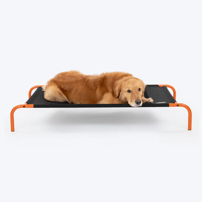 HUFT Elevated Bed For Dog - Black & Orange