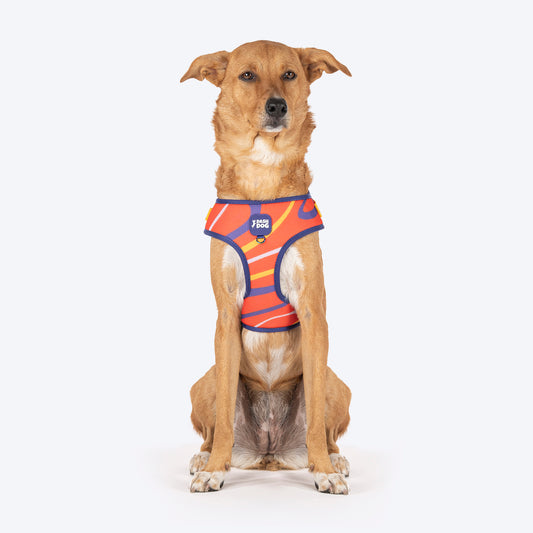 Dash Dog Radiant Blaze Easy Walk Harness For Dog - Orange