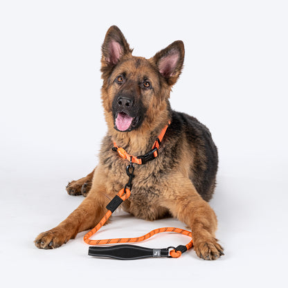 HUFT Rope Leash For Dog - Orange - 1.2 m