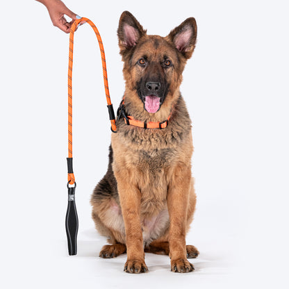 HUFT Rope Leash For Dog - Orange - 1.2 m