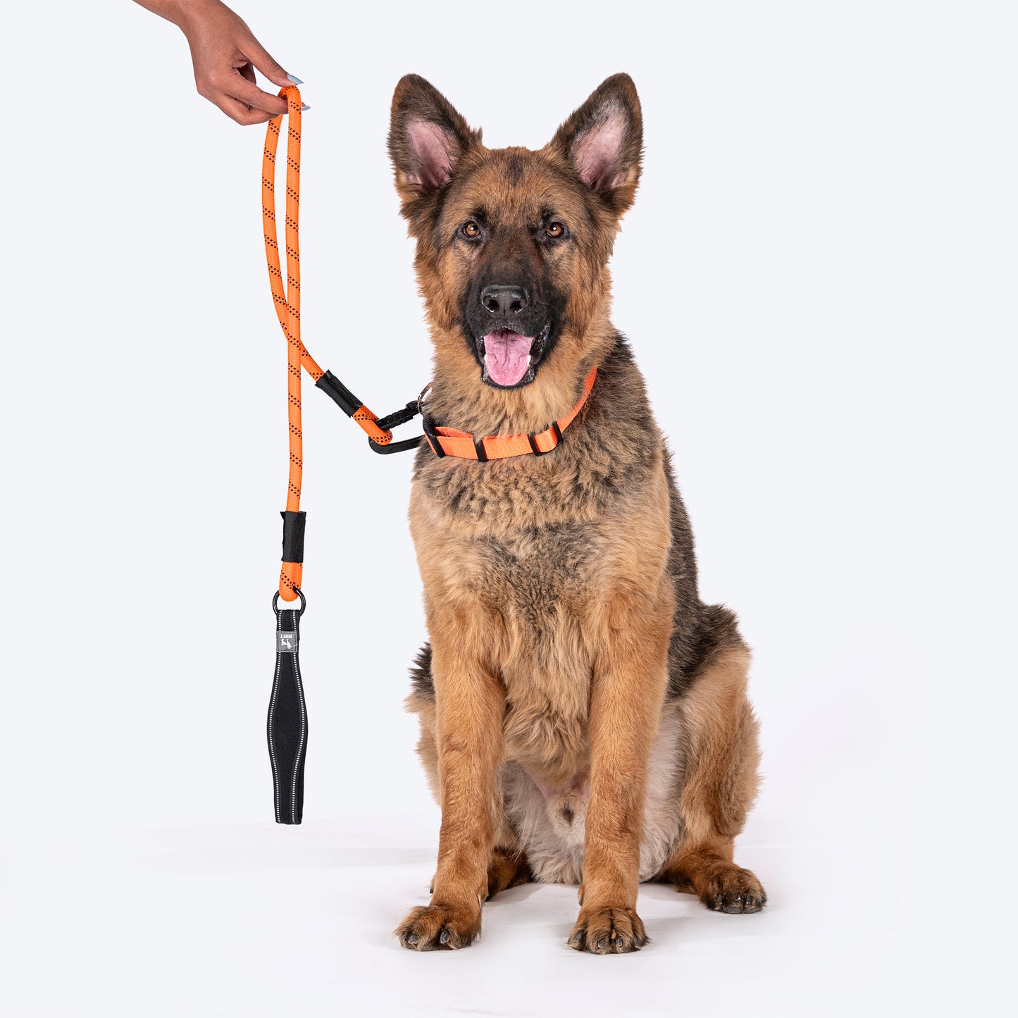 HUFT Rope Leash With Carabiner For Dog - Orange - 1.2 m