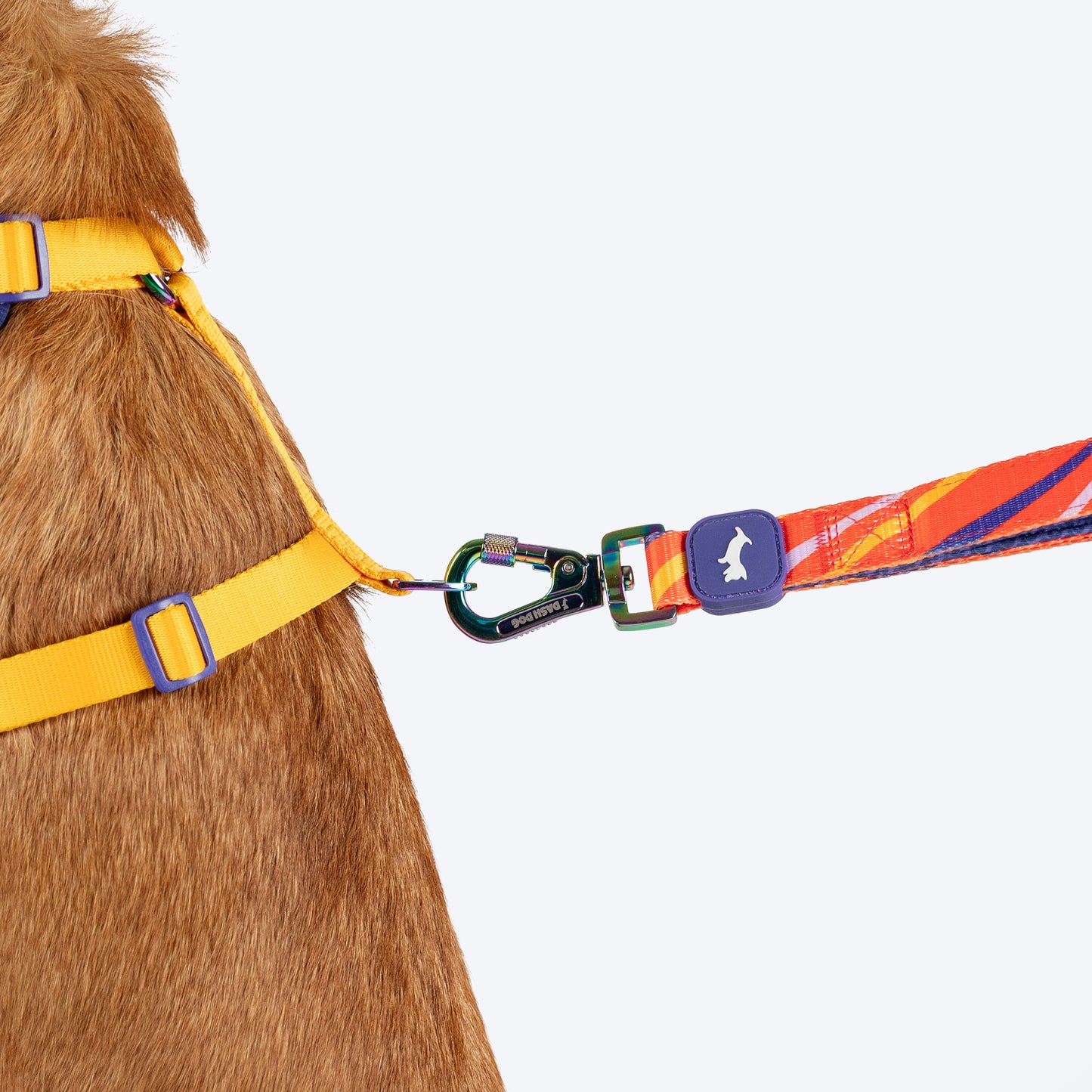 Dash Dog Radiant Blaze Dual Handle Leash For Dog - Orange