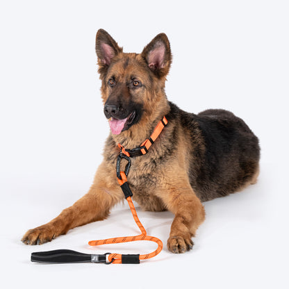 HUFT Rope Leash With Carabiner For Dog - Orange - 1.2 m