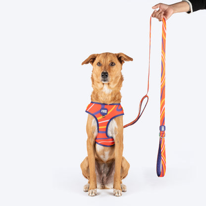 Dash Dog Radiant Blaze Dual Handle Leash For Dog - Orange