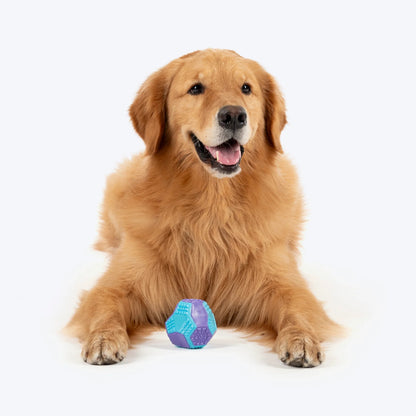 Dash Dog Extreme Play Squeaky Ball Toy For Dog - Blue