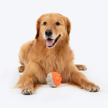 Dash Dog Double Trouble Ball Toy For Dog
